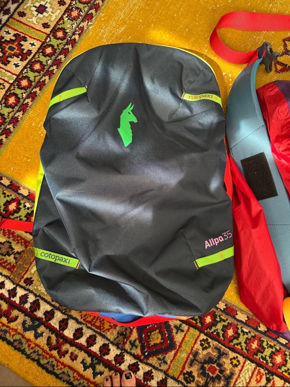 cotopaxi Navy Backpack with Neon Green Accents and Red Strap